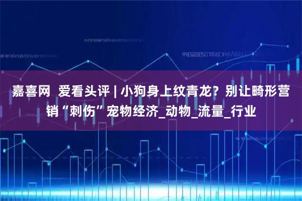 嘉喜网  爱看头评 | 小狗身上纹青龙？别让畸形营销“刺伤”宠物经济_动物_流量_行业