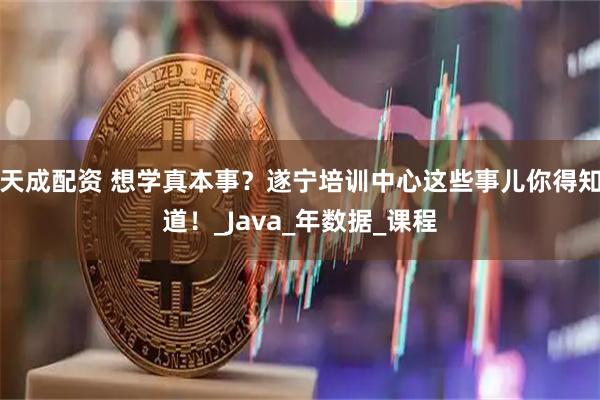 天成配资 想学真本事？遂宁培训中心这些事儿你得知道！_Java_年数据_课程